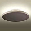 ceiling light